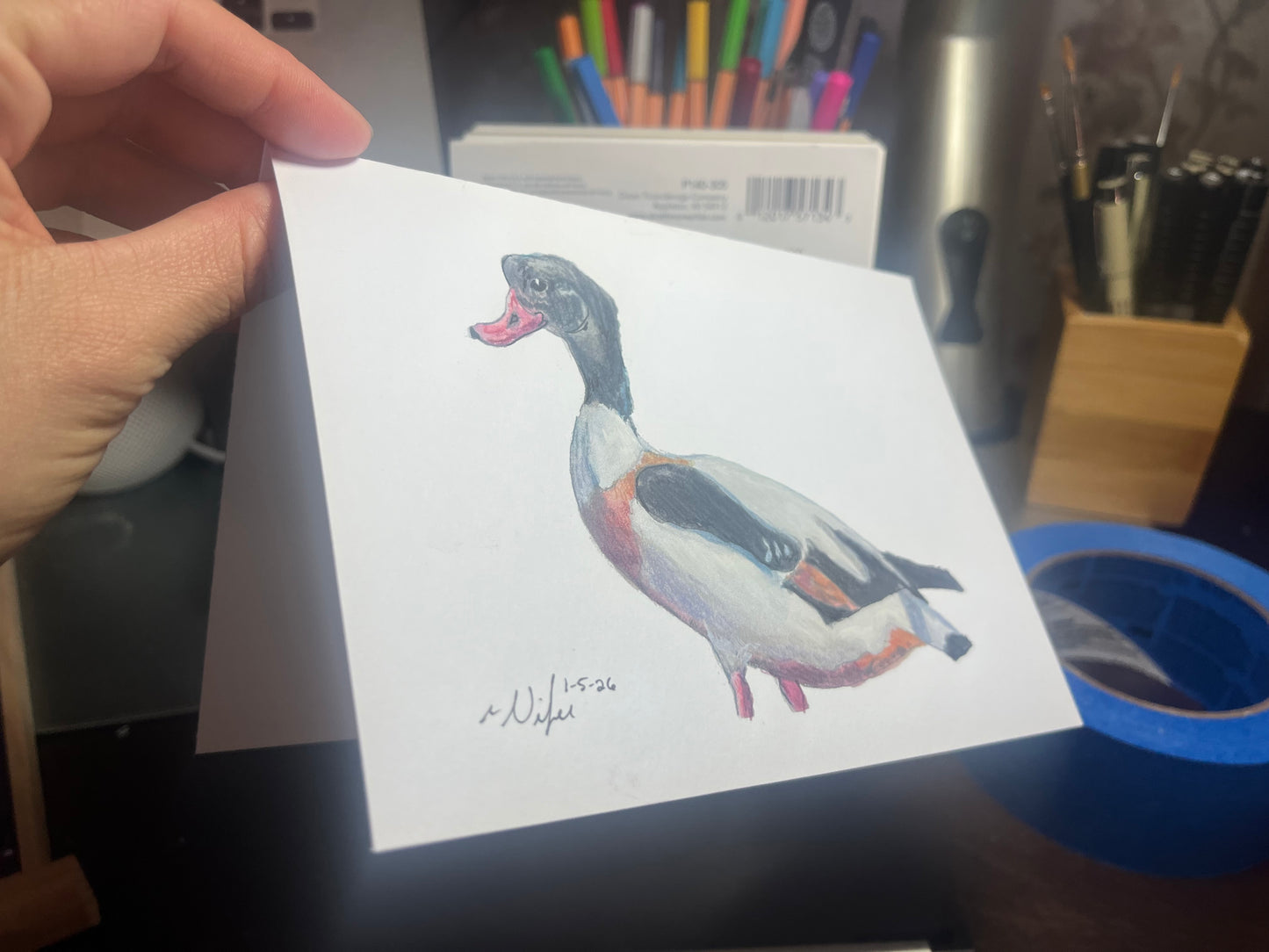 9 Printed Original Art Duck Greeting Cards