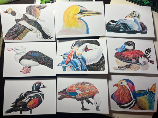 9 Printed Original Art Duck Greeting Cards