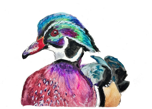 7 Printed Original Art Duck Greeting Cards