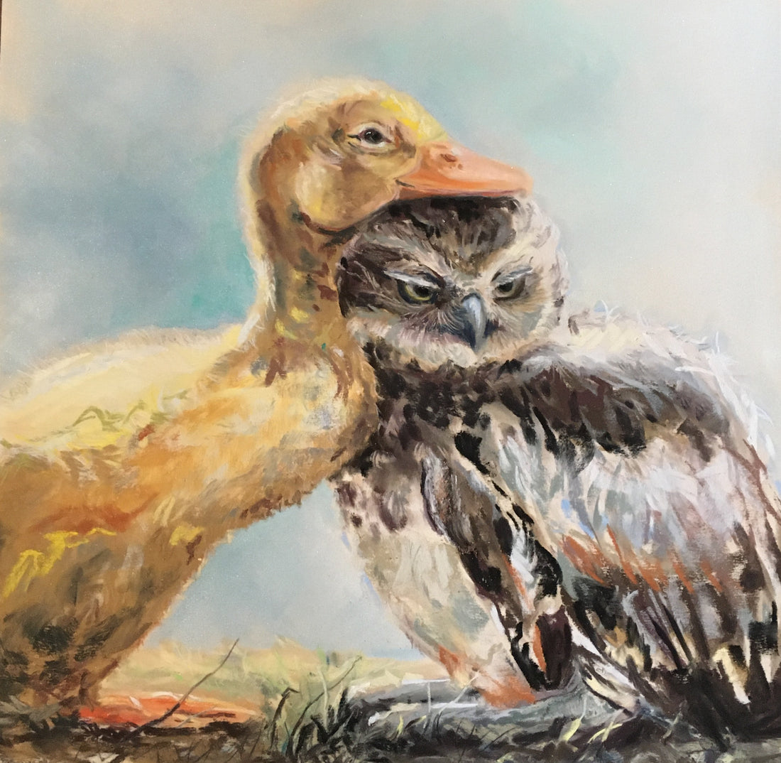 Duckling and Owl