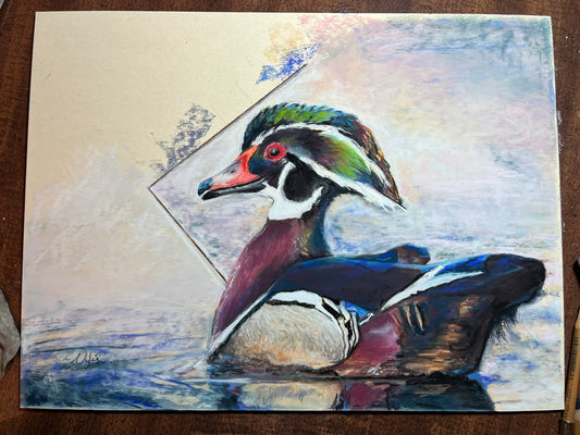 Wood Duck