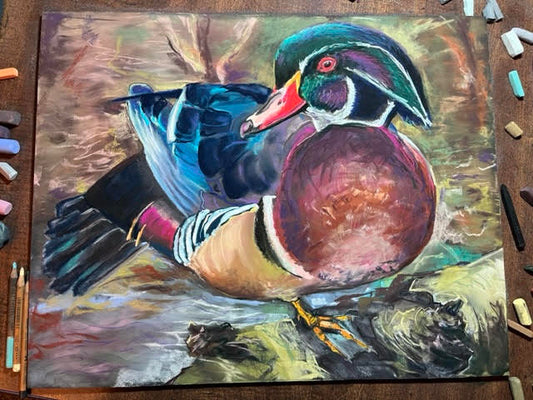 Wood Duck 16x20 inches