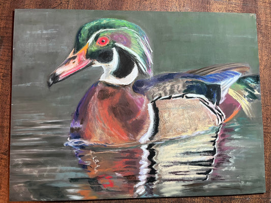 Wood Duck 12x16 inches